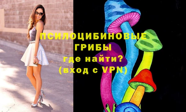 мдма Бородино