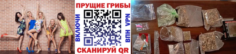 купить закладку  Подольск  Псилоцибиновые грибы мухоморы 